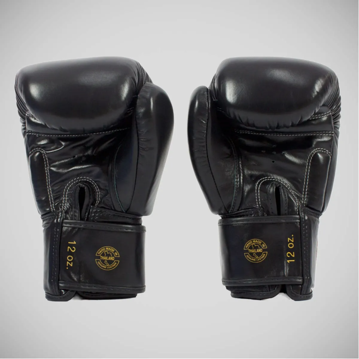 Fairtex BGV19 Deluxe Boxing Gloves Black